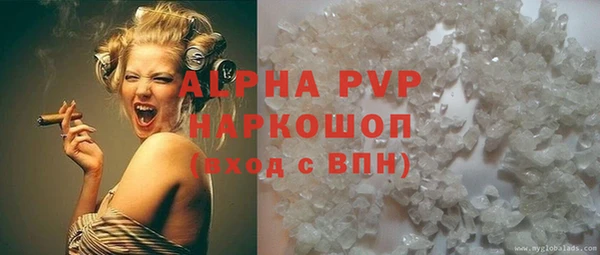 трава Няндома