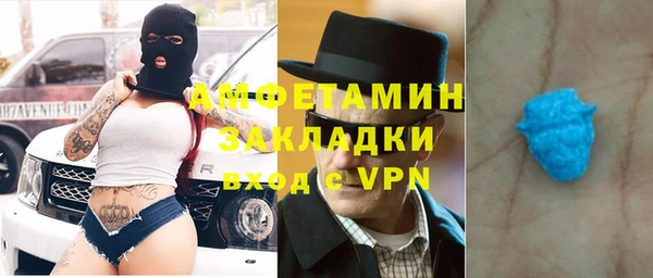 трава Няндома