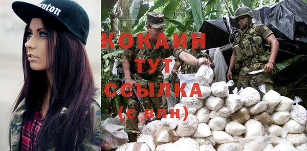 трава Няндома