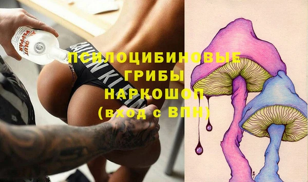 трава Няндома