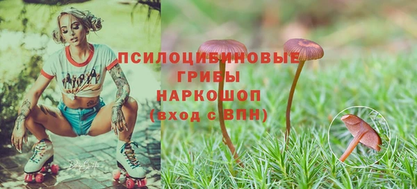 трава Няндома