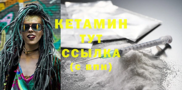 трава Няндома