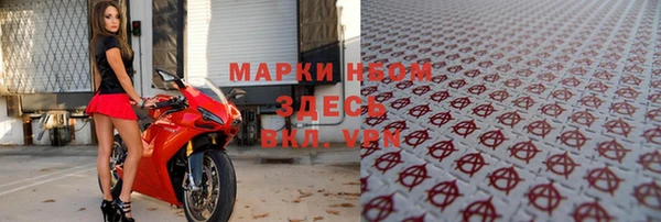 трава Няндома