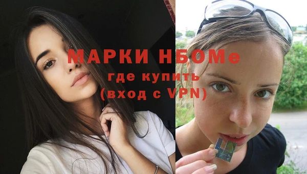 трава Няндома