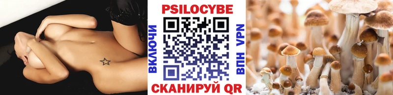 Галлюциногенные грибы Cubensis  где найти   Будённовск 