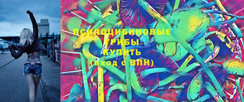 Галлюциногенные грибы MAGIC MUSHROOMS  Будённовск 